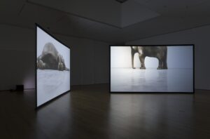 Douglas Gordon’s two channel Play Dead; Real Time at MoMA